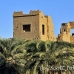 temple_habu_lux_h_0208_egy2480.jpg